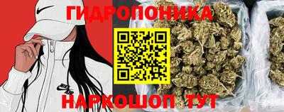 apvp Гусиноозёрск