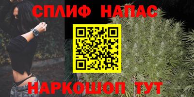 apvp Гусиноозёрск