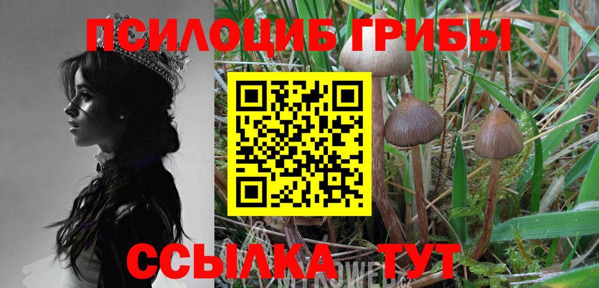 Псилоцибиновые грибы прущие грибы Нефтекумск