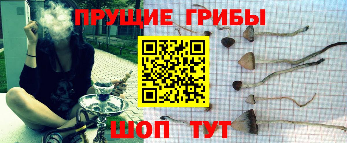 Псилоцибиновые грибы MAGIC MUSHROOMS  Вход с VPN  Нефтекумск 
